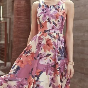Donna Morgan Floral Print Woven Fit & Flare Dress